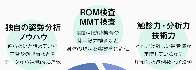 独自の姿勢分析ノウハウ、ROM検査・MMT検査、触診力・分析力・技術力