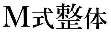 M式整体 - せたがや整骨院